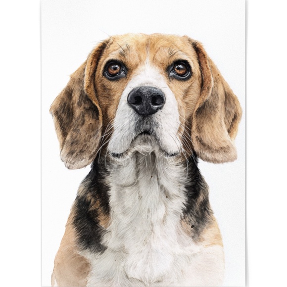 Watercolor Beagle Portrait Wall Art Print Poster, Unframed - Pet Artwork - Picture 2 of 5